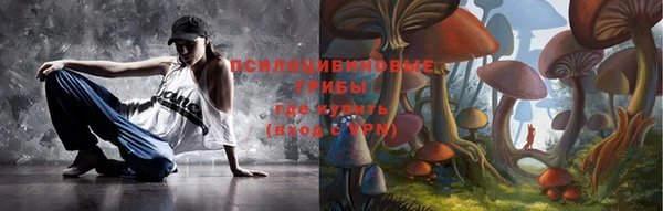 индика Новокубанск