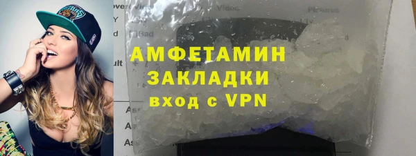 индика Новокубанск