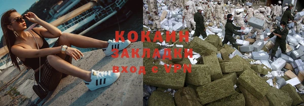 индика Новокубанск