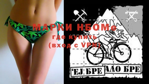 индика Новокубанск