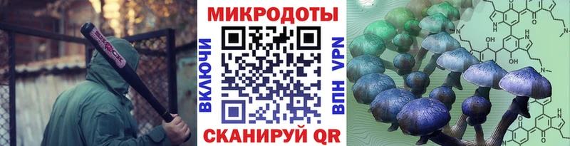 Галлюциногенные грибы Psilocybe Ейск