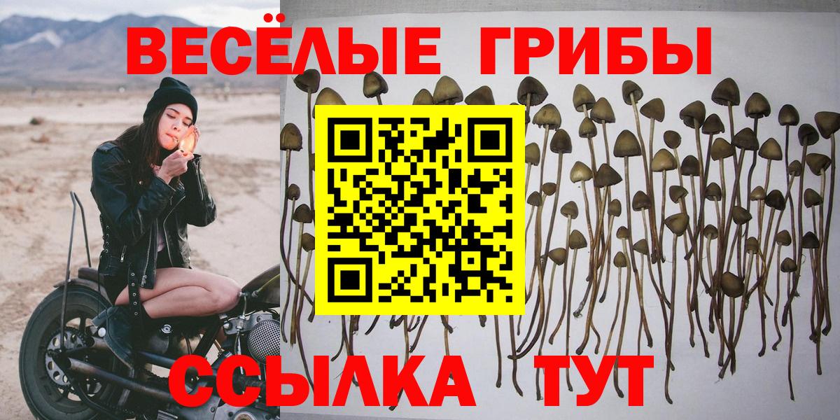 Ейск  Галлюциногенные грибы MAGIC MUSHROOMS  Вход с VPN 