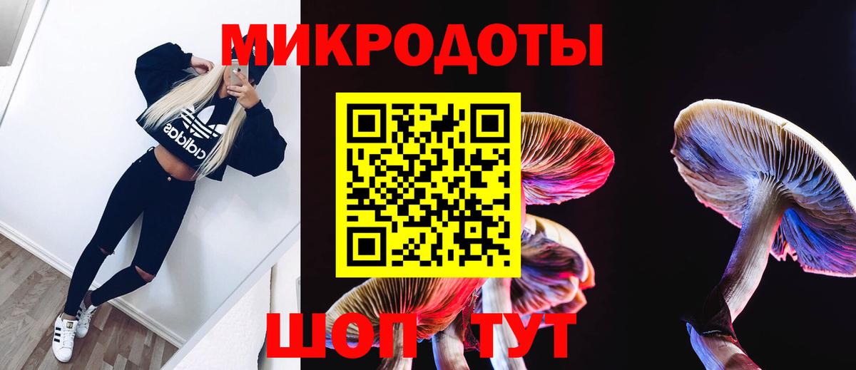 дарнет шоп  Ейск  Псилоцибиновые грибы Cubensis 